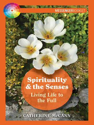 cover image of Spirituality and the Senses